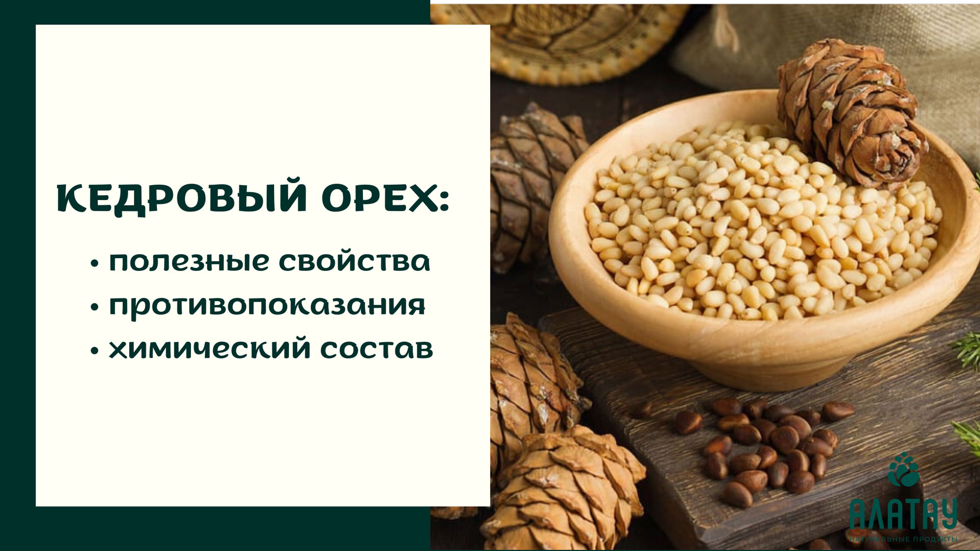 Кедровый орех: полезные свойства, противопоказания и химический состав