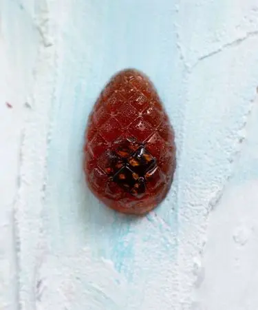 Мармелад "Сосновый" (с шишкой), 110г Мармелад "Сосновый" (с шишкой), 110г