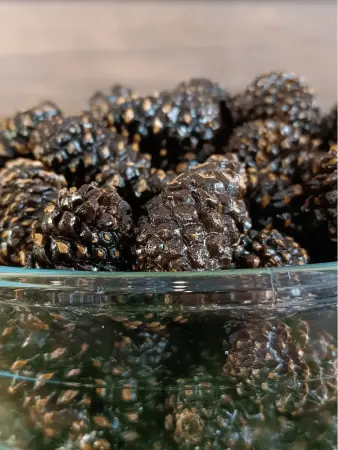 Цукаты из сосновых шишек 1 кг Цукаты из сосновых шишек 1 кг