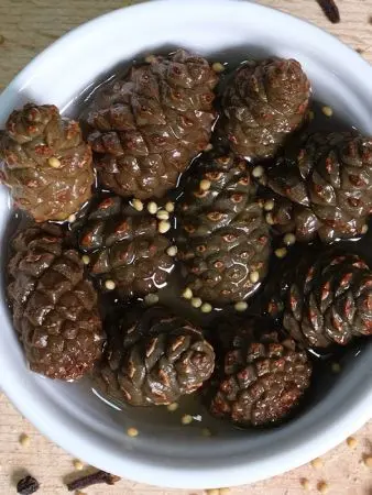 Каперсы из сосновых шишек маринованные с пряностями, 200 мл Каперсы из сосновых шишек маринованные с пряностями, 200 мл